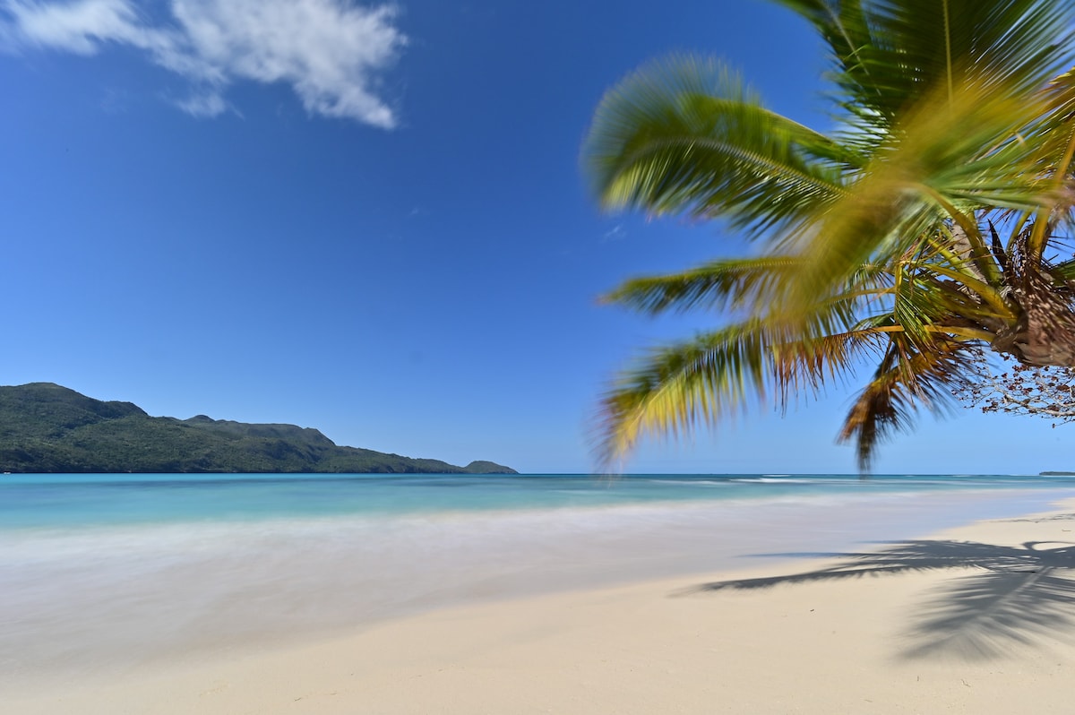 A serene beach landscape is showcased, featuring soft white sand and gentle waves lapping at the shore. Lush green hills are visible in the background under a clear blue sky, while a palm tree leans gracefully towards the water.