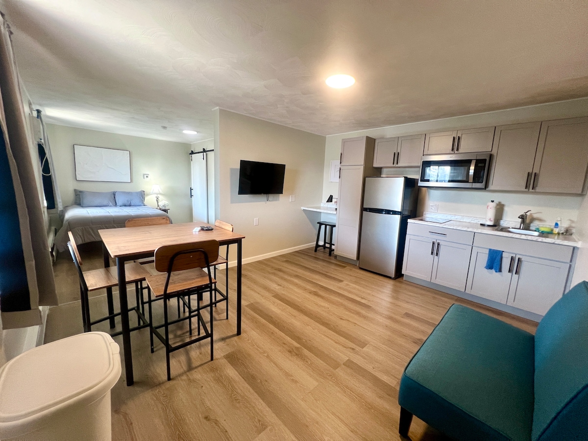 A spacious studio apartment features a fully equipped kitchenette with a microwave, refrigerator, and cooktop. A dining table with chairs, a comfortable couch, and a wall-mounted TV are visible. Natural light fills the room from the windows, creating a bright and functional living space.