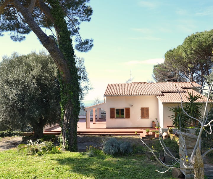 Villa Noemi - Villa In Maremma - Cala Violina Scarlino