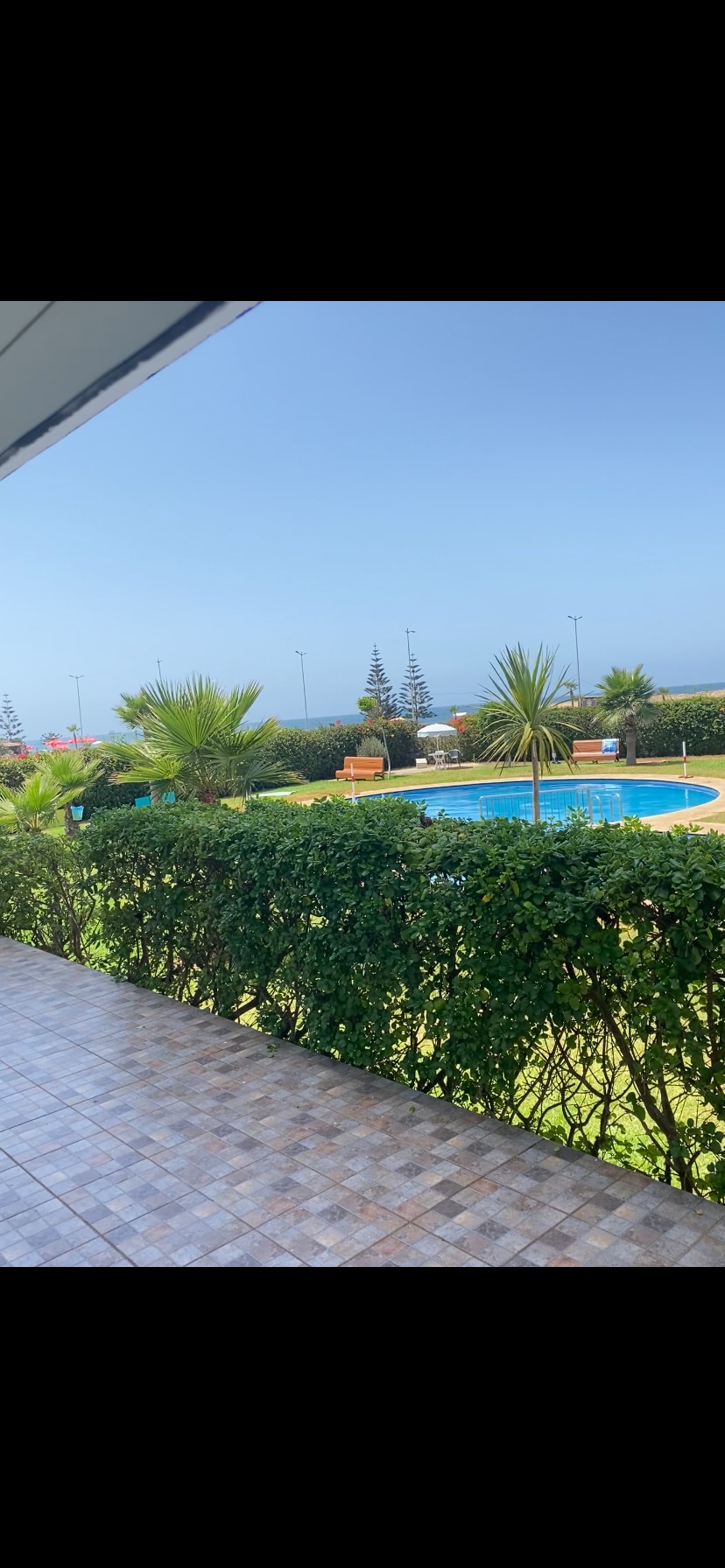 A serene outdoor view showcases a landscaped area with palm trees surrounding a large swimming pool. Sun loungers are positioned near the water, and greenery frames the scene under a clear blue sky.