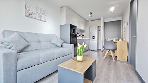 Successful Airbnb property: New, Charming & Equipped Apartment in Stgo in Independencia