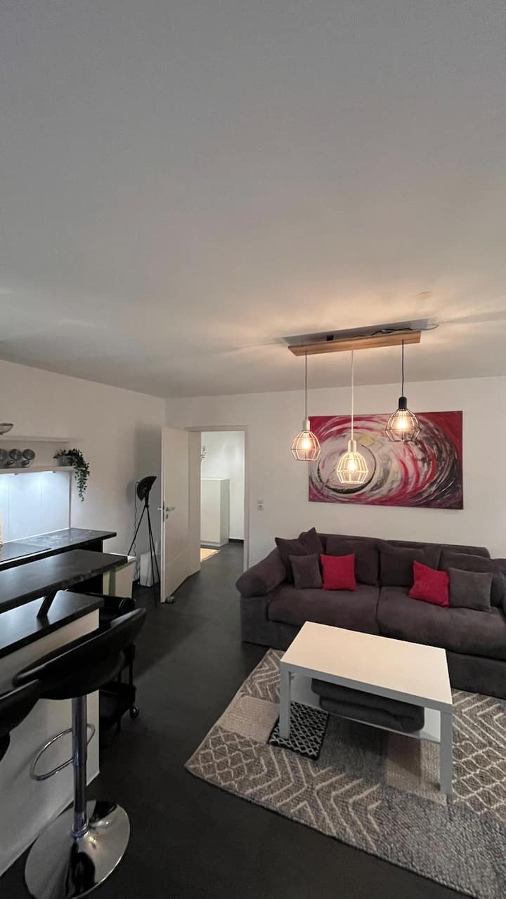 Helle Ug-wohnung Mit Terrasse - Heidelberg