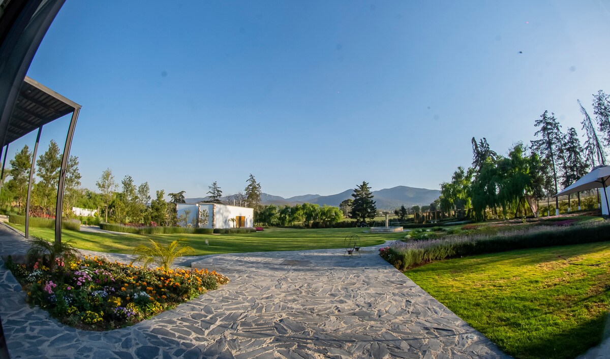 A panoramic view showcases a lush garden with well-maintained lawn and a variety of plants. The image captures the serene landscape, framed by trees and distant mountains under a clear blue sky. Pathways made of stone create a welcoming entrance to the outdoor space.