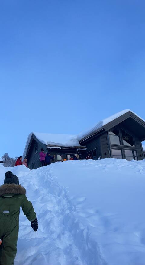 New & Modern Cabin in Fjellsnaret