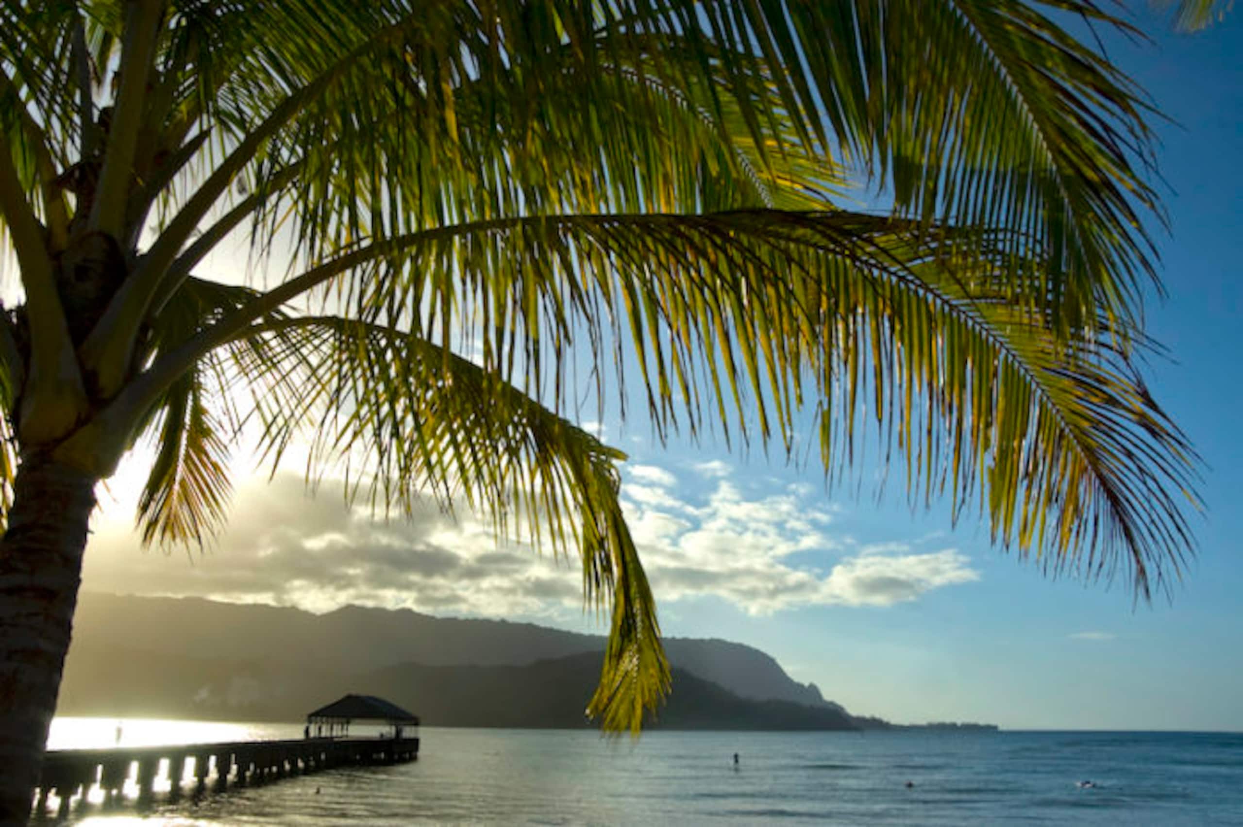 Condo in Princeville · ★4.98 · 1 bedroom · 1 bed · 1 private bath - Image 13