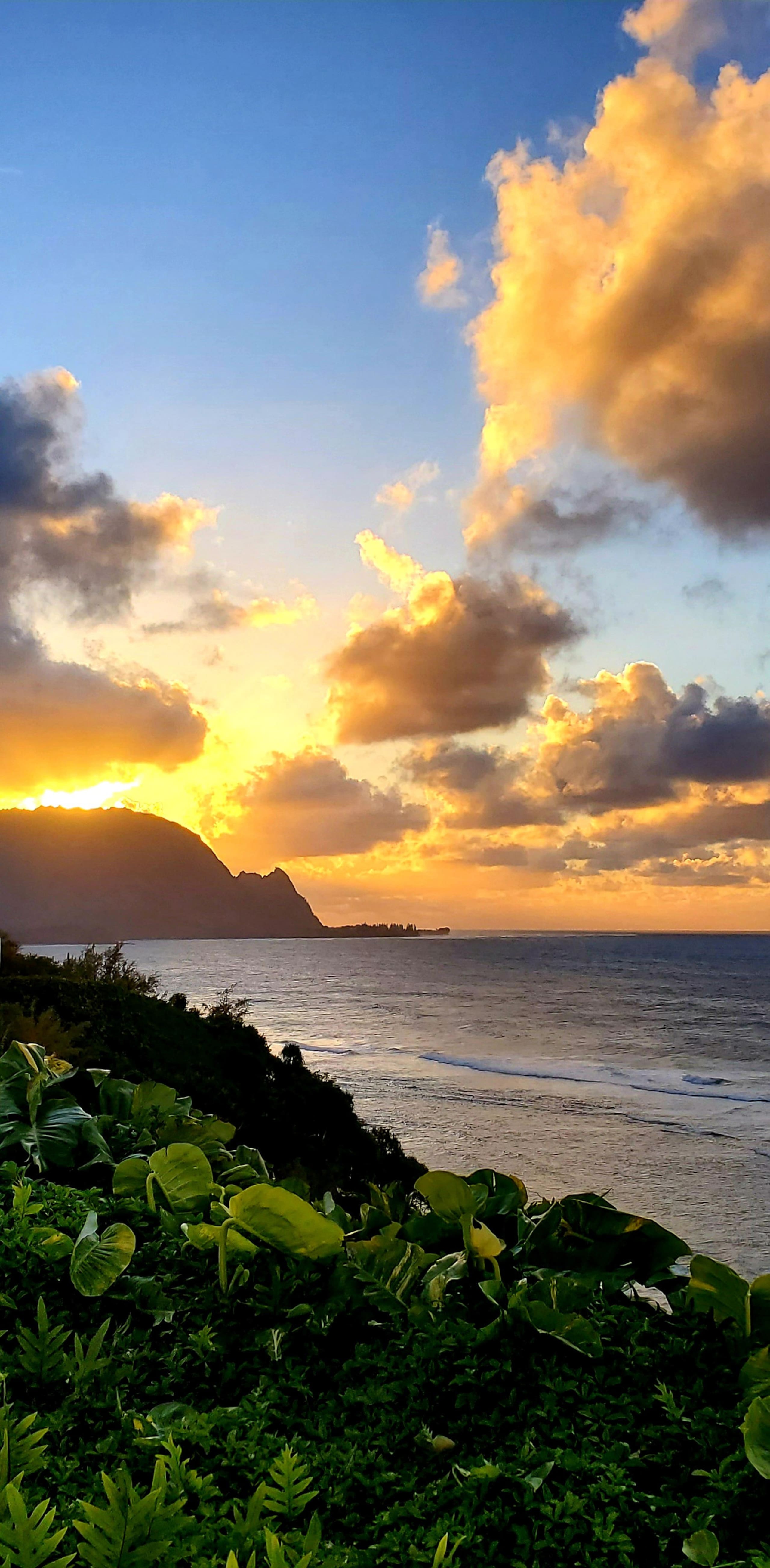 Condo in Princeville · ★4.98 · 1 bedroom · 1 bed · 1 private bath - Image 2
