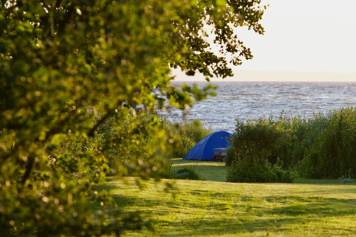 Sommerhave Dråby Strand