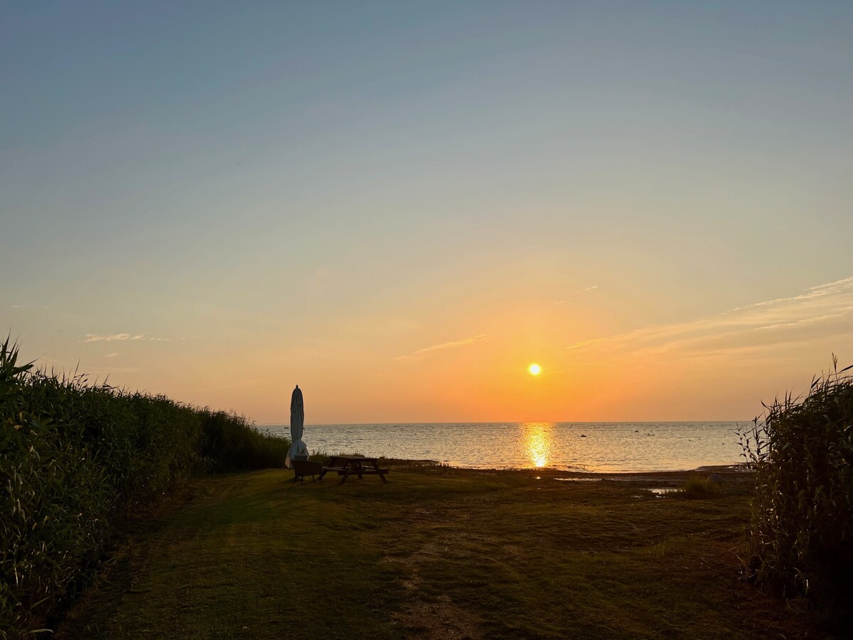 Isefjorden i solskin set fra Dråby