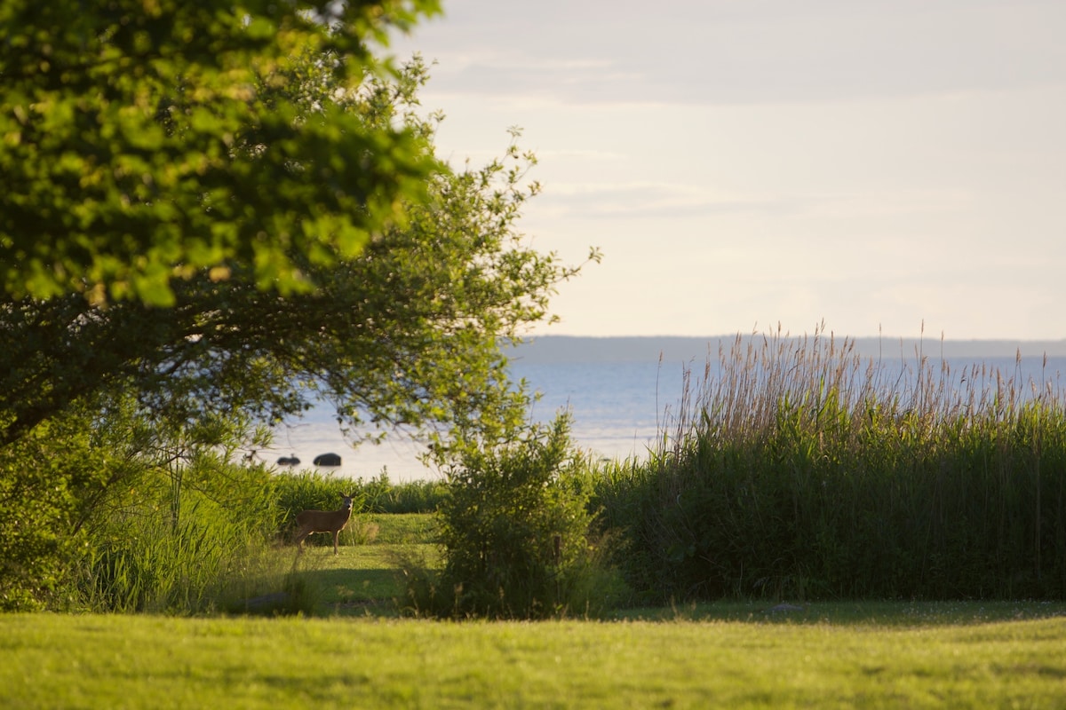 Lokale gårdbutikker og Hornsherred natur nær Jægerspris
