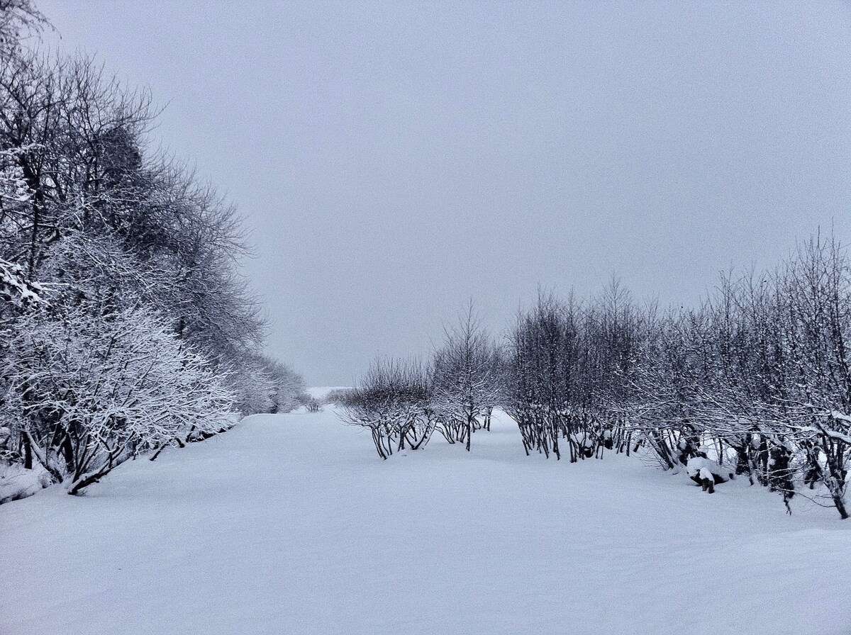 Isefjorden med sejlbåde og kystlandskab ved Jægerspris
