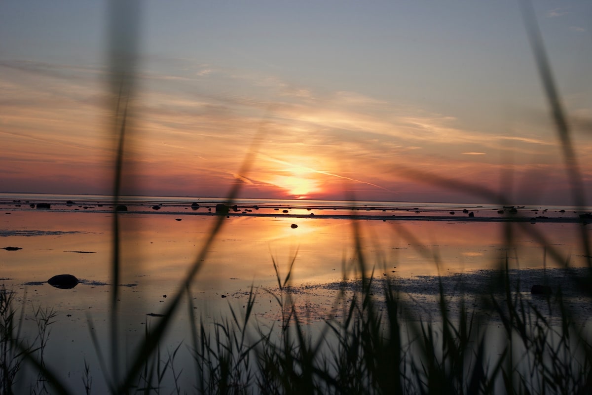 Badebroen ved Isefjorden Jægerspris