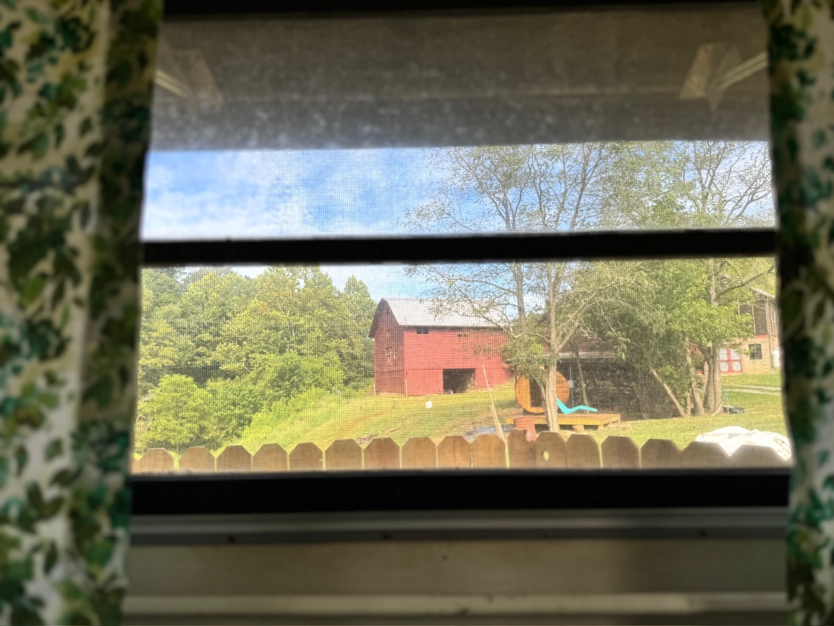 วิวจากหน้าต่างด้านหลังลานซาวน่ารออยู่...