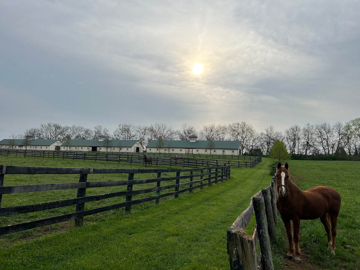 A serene landscape is depicted, featuring a horse standing near a wooden fence. The sun rises in the background, casting a soft light over the green pastures and trees lining the property. A spacious area is visible behind the horse, showing additional grazing horses.