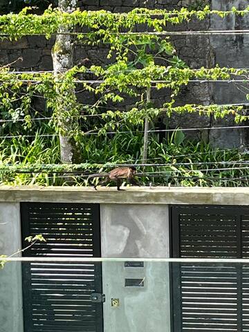 Apartamento tipo casa, barrinha gallery image 4