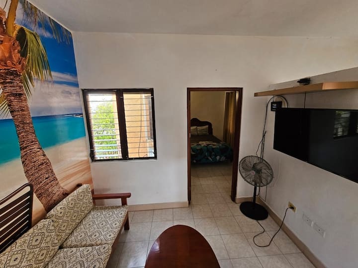 Apartment In Downtown Cozumel With Private Garden - Cozumel