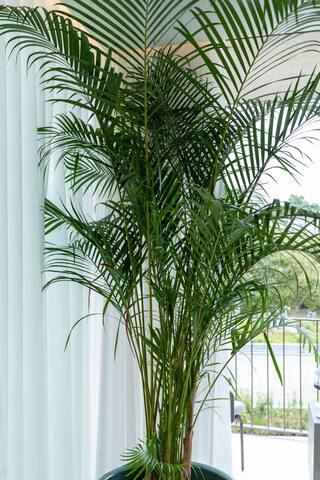 The Aquamarine – Luxury Duplex – Pool + City View gallery image 5