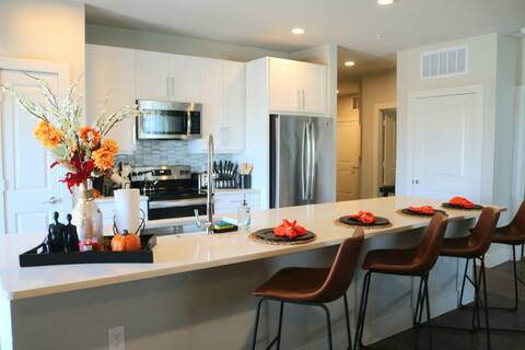 Luxe 2 Bed/2 Bath APT w/ Garage