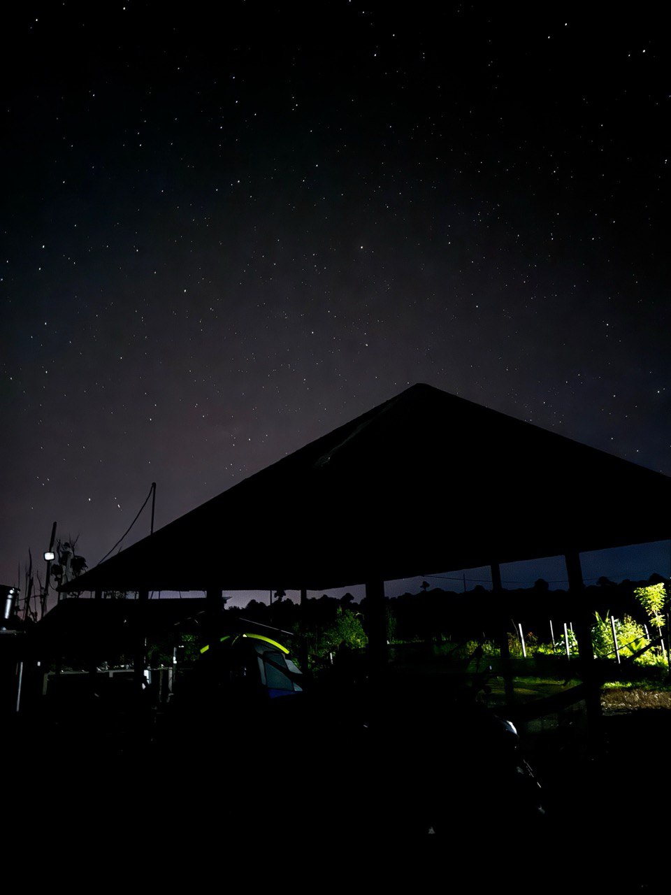 A darkened structure is silhouetted against a clear night sky filled with bright stars. Below, the surrounding foliage is partly illuminated, revealing the encroaching jungle. The composition showcases a tranquil atmosphere, inviting exploration of the natural beauty present in the area.