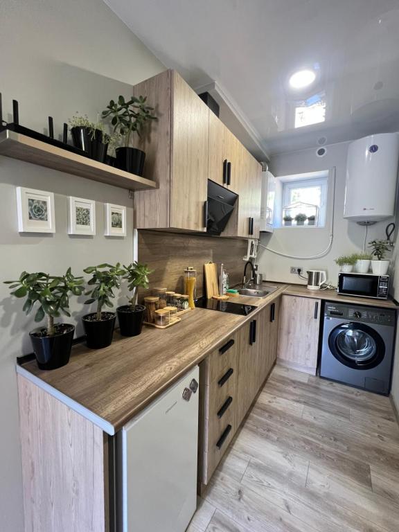 A modern kitchen features wooden cabinets and a sleek countertop, with potted plants adorning the shelves. A microwave and washing machine are visible, along with kitchen utensils arranged neatly. The lighting is bright, illuminating the space.