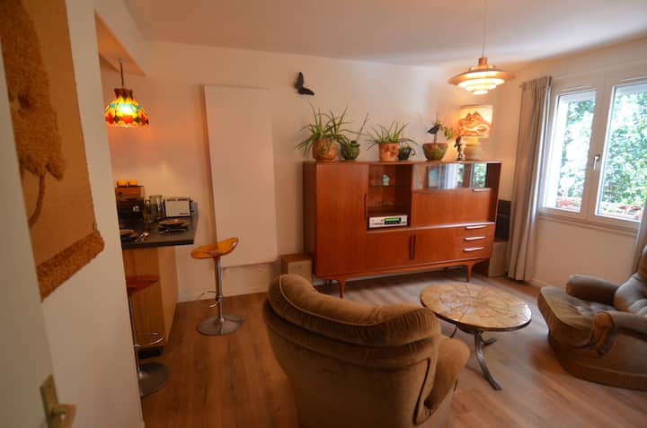 Appartement Décoration Vintage. - Toulouse
