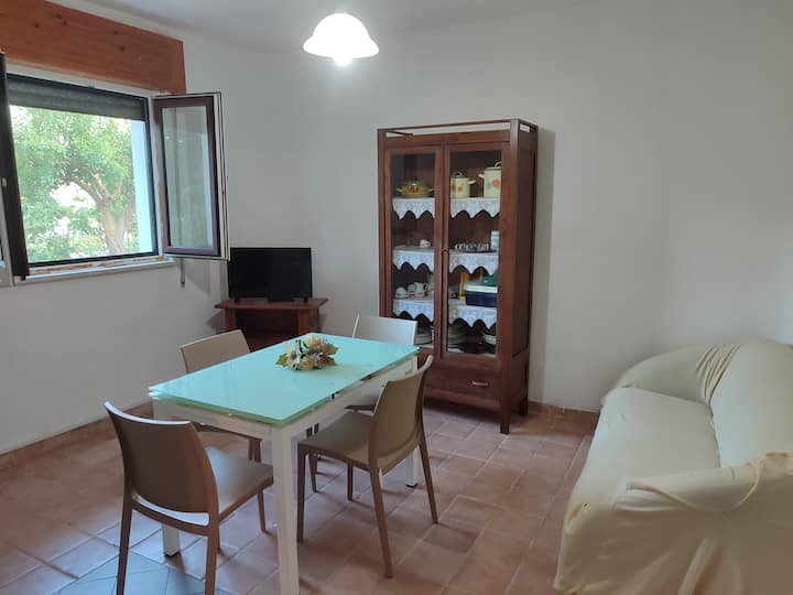 Vacanze Al Mare Di Casal Velino-
 La Dimora Di Ela - Casal Velino
