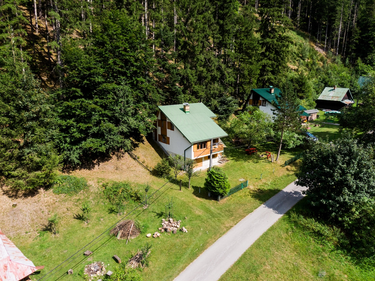 An aerial view of the cottage highlights its green roof and white walls, surrounded by trees. The well-kept garden features shrubs and natural greenery. A gravel pathway leads to the entrance, and nearby structures can be seen nestled among the foliage.