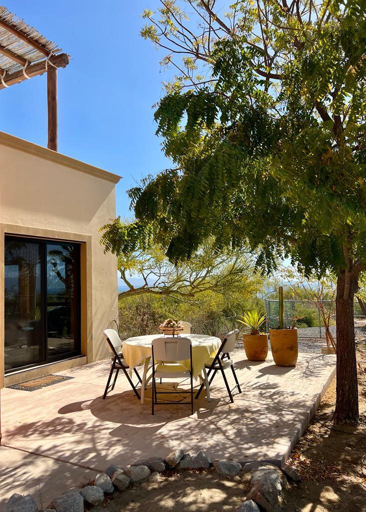 An outdoor dining area is presented, featuring a round table set with neutral-colored tableware. Four folding chairs surround the table. Two potted plants add a touch of greenery, and a canopy of leaves provides partial shade against a clear blue sky.