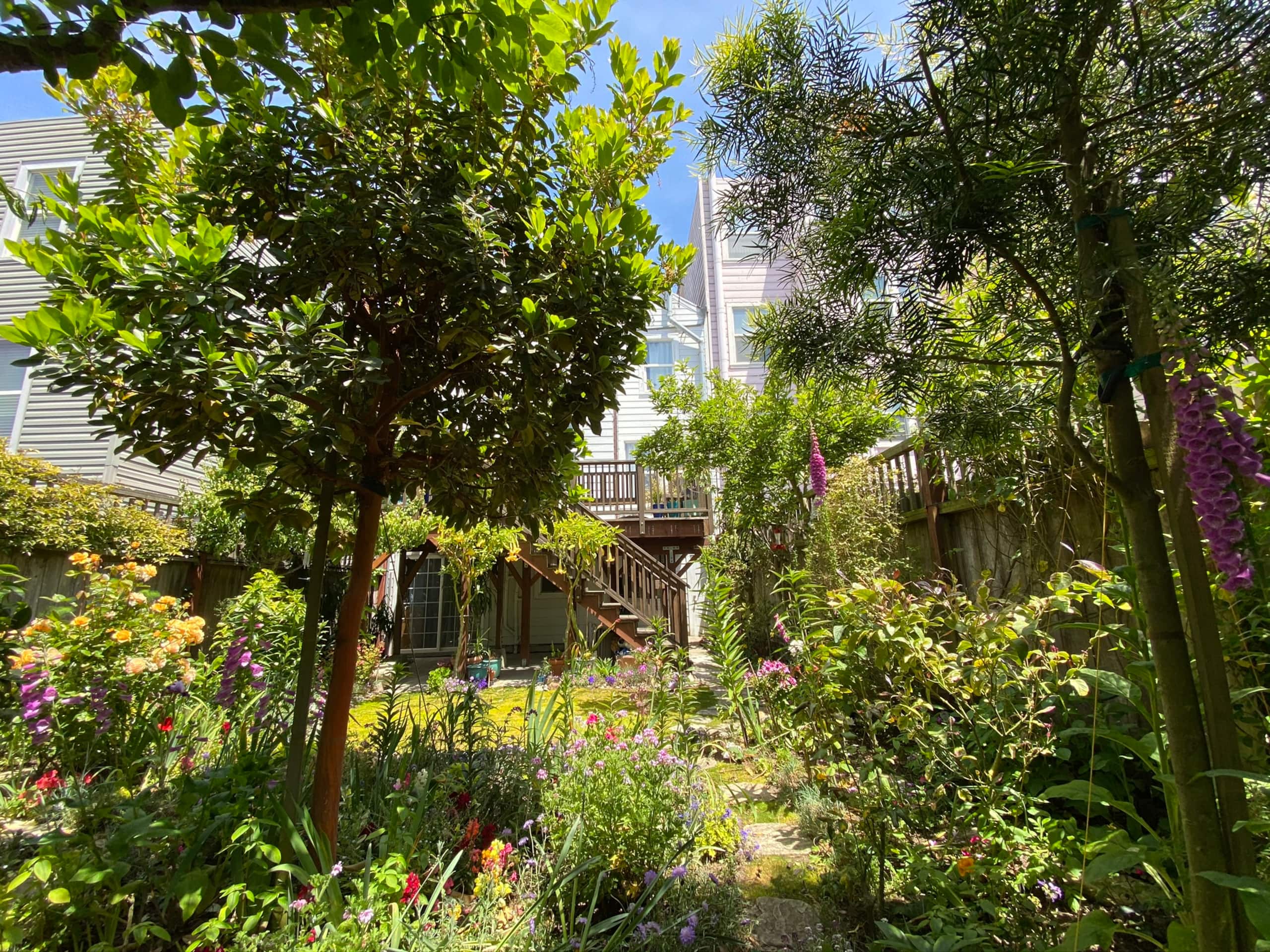 Home in San Francisco · ★4.98 · 4 bedrooms · 4 beds · 2.5 baths - Image 35