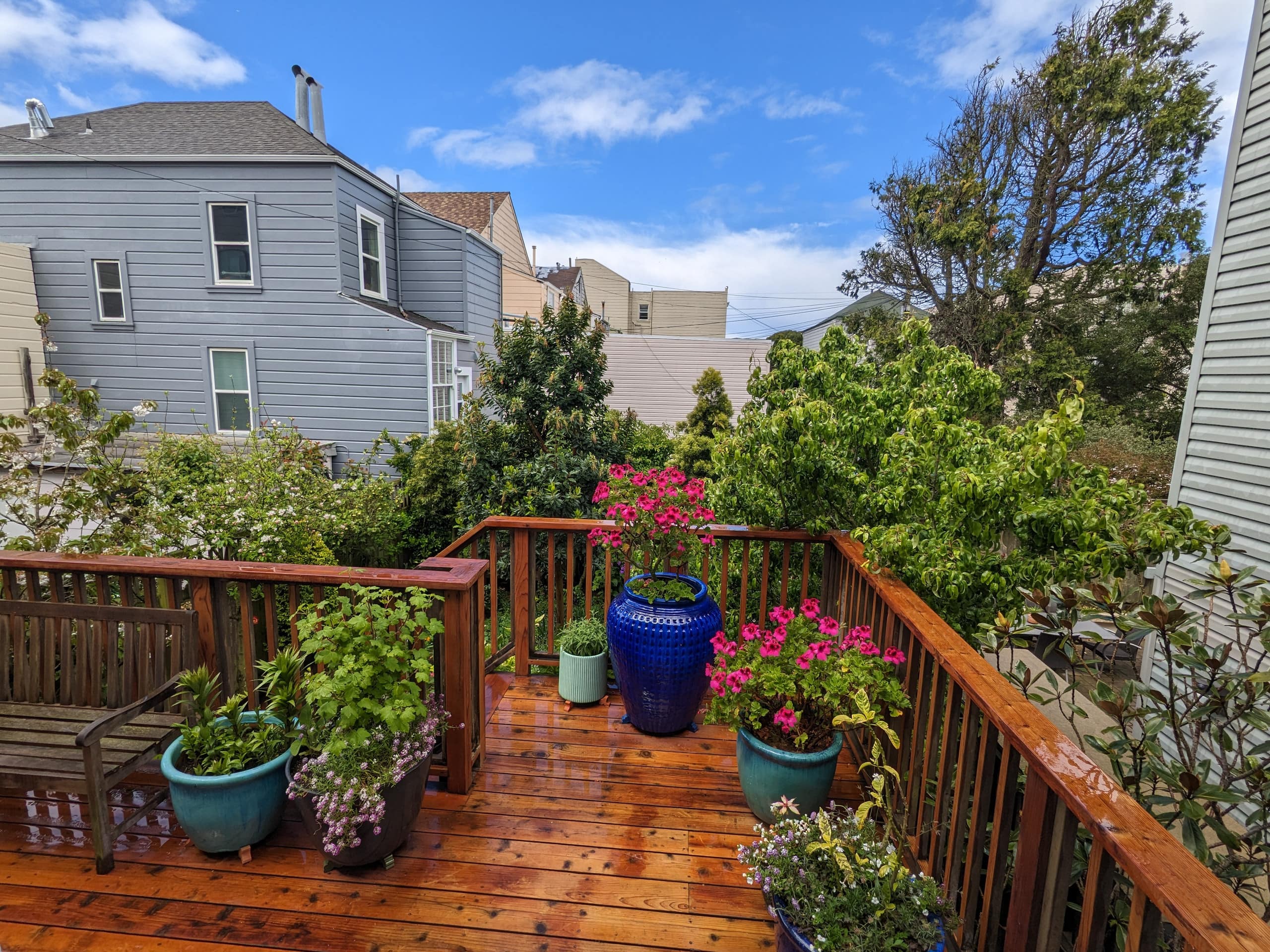 Home in San Francisco · ★4.98 · 4 bedrooms · 4 beds · 2.5 baths - Image 32