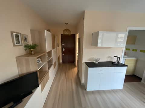 Top Airbnb: Cozy studio with balcony à Aix Les Bains