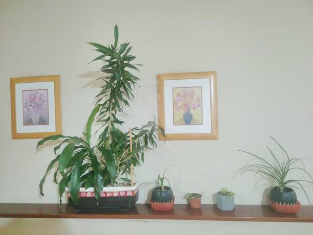 Warm & Cozy Apartment in Polanco gallery image 3