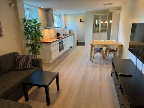 Apartment in a single dwelling