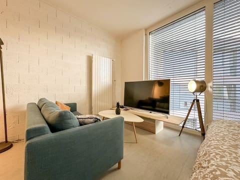 Studio in the top of Lausanne 20