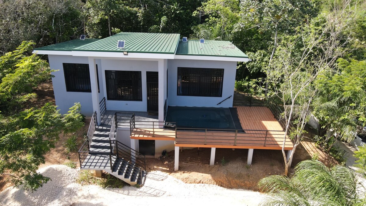 A modern home is surrounded by lush greenery, featuring a sloped roof in vibrant green. The structure has multiple large windows framed with black bars. A wooden deck extends at the front, complete with stairs leading to the ground level.
