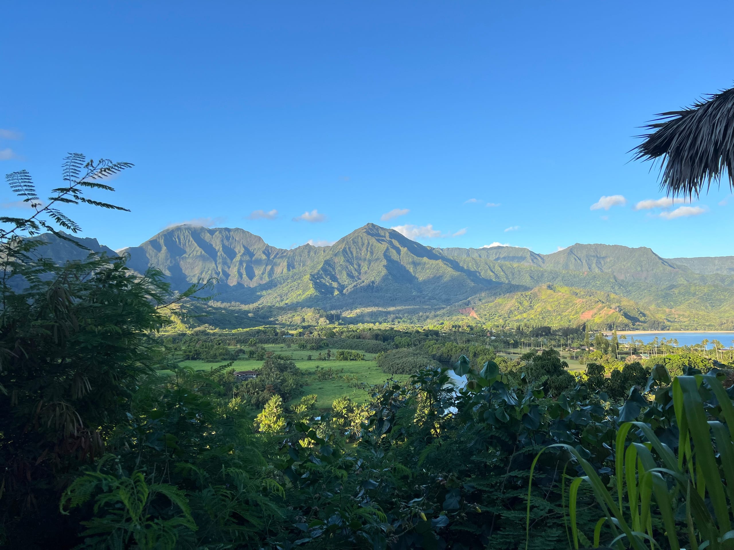 Home in Princeville · ★4.88 · 2 bedrooms · 4 beds · 1 bath - Image 39
