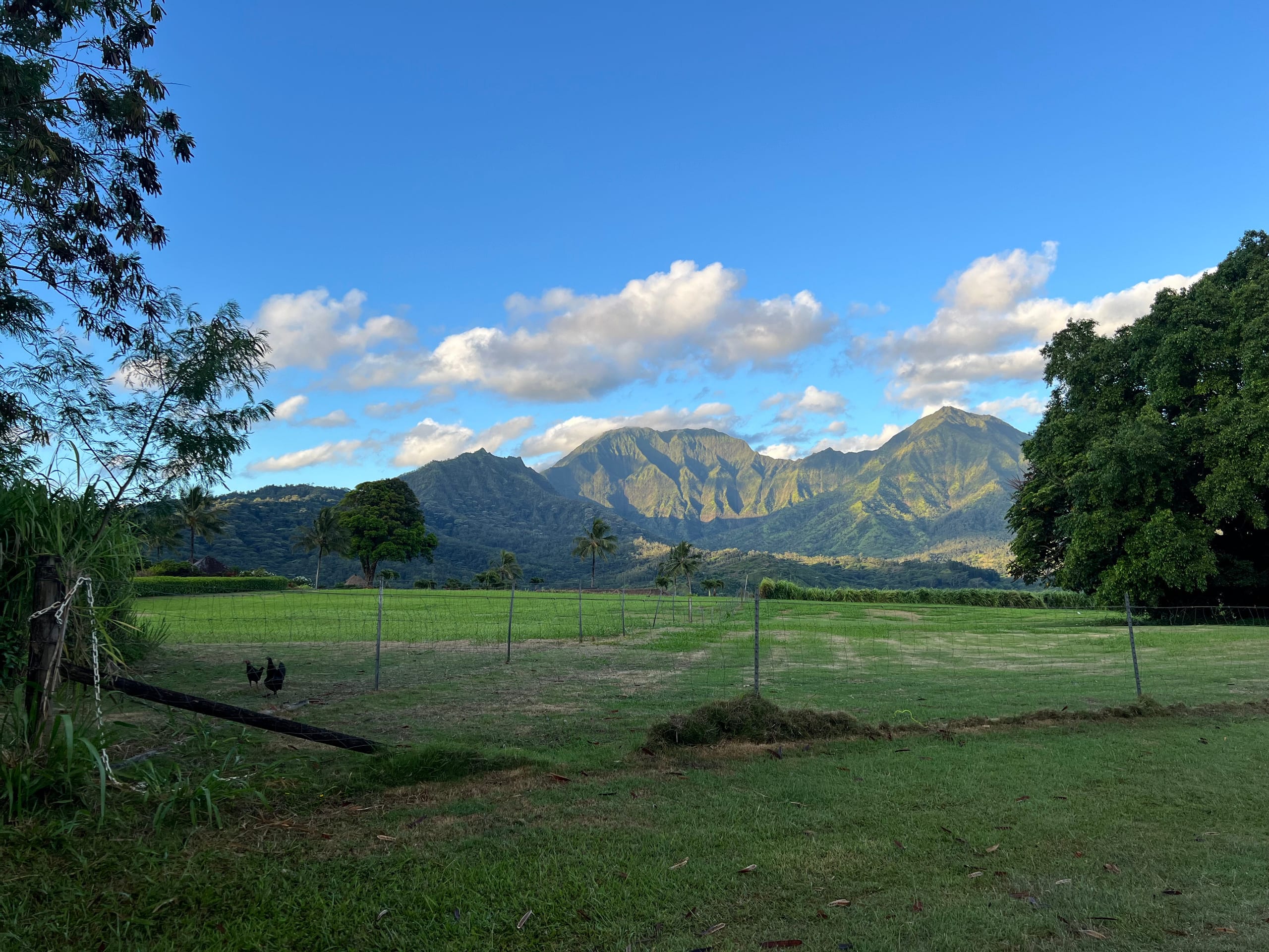 Home in Princeville · ★4.88 · 2 bedrooms · 4 beds · 1 bath - Image 42