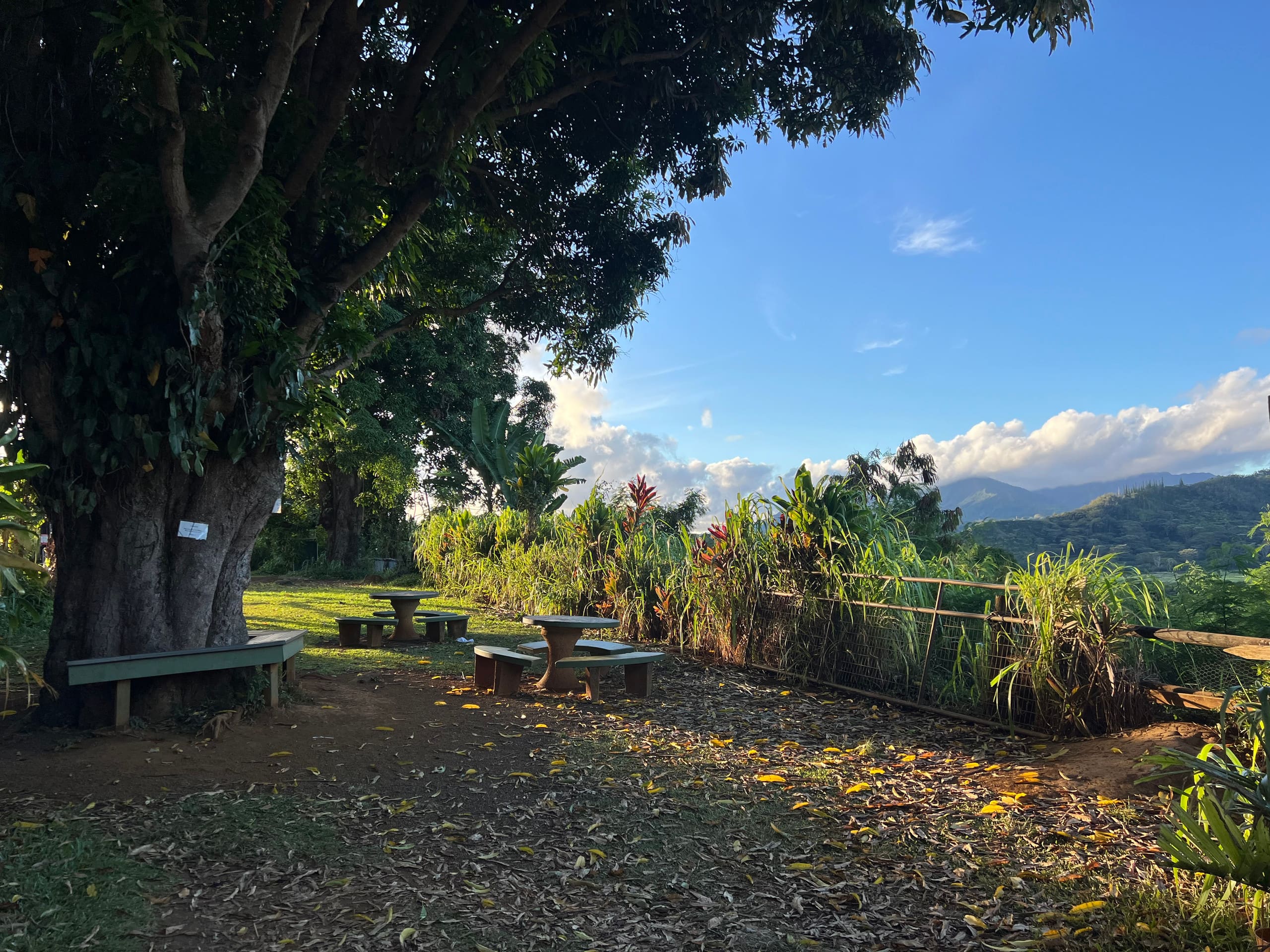 Home in Princeville · ★4.88 · 2 bedrooms · 4 beds · 1 bath - Image 41