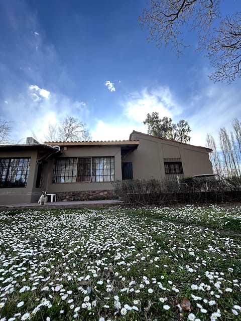 Experience at Finca Las Touza