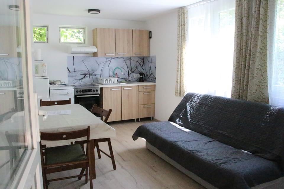 The kitchen area is equipped with light wood cabinets, a sink, and an oven with a stove. A dining table with four wooden chairs is positioned next to a gray sofa. Natural light enters through large windows, with light curtains softly diffusing the brightness.