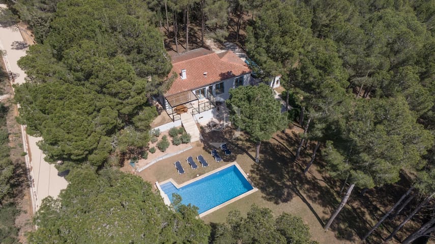 Naturaleza con vistas al mar