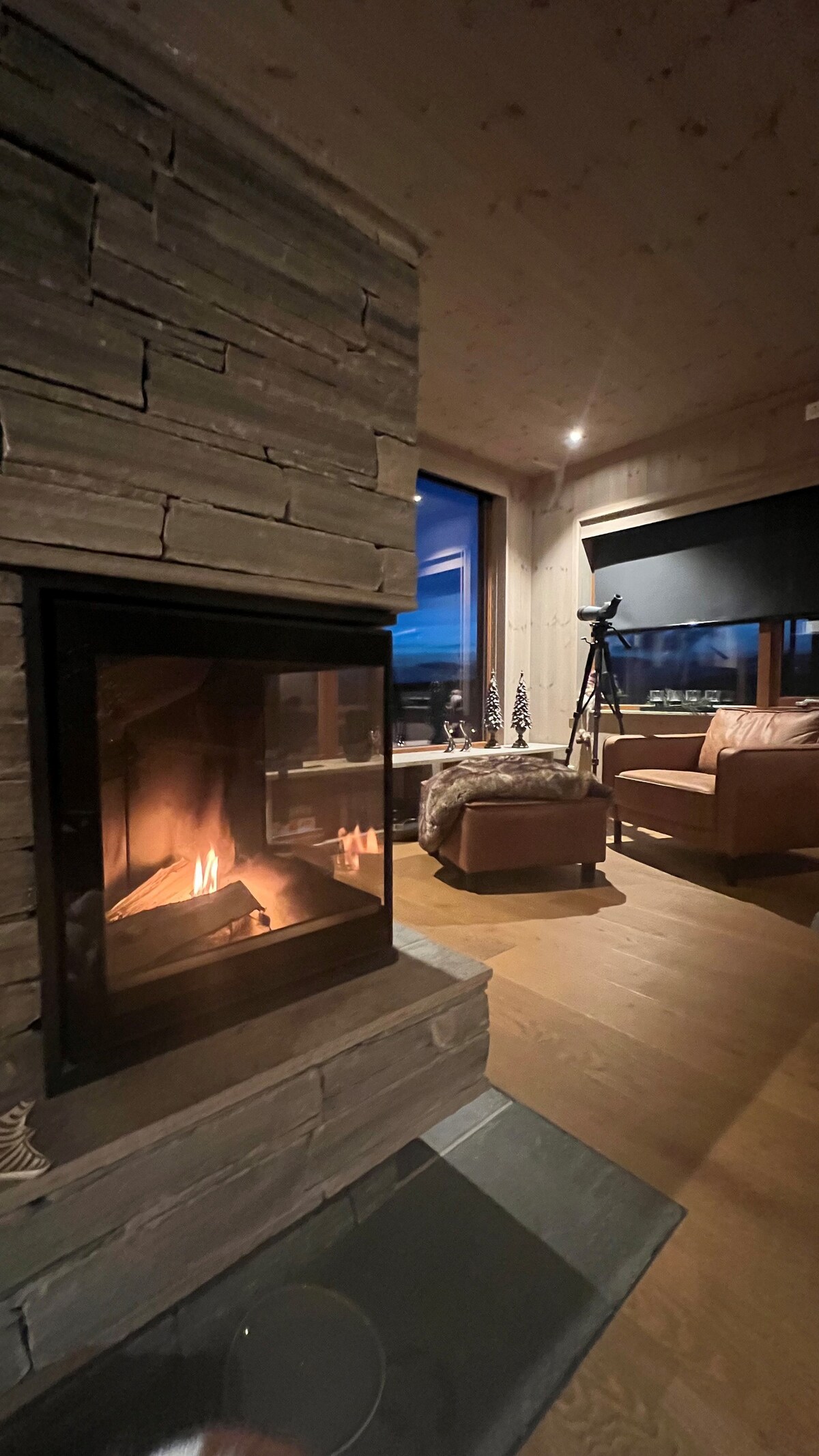 A stone fireplace is positioned prominently, offering warmth and light. Leather armchairs are arranged nearby, creating a cozy seating area. Large windows provide a view of the outside landscape, and a telescope is placed for observation. Soft lighting enhances the space's comfort.