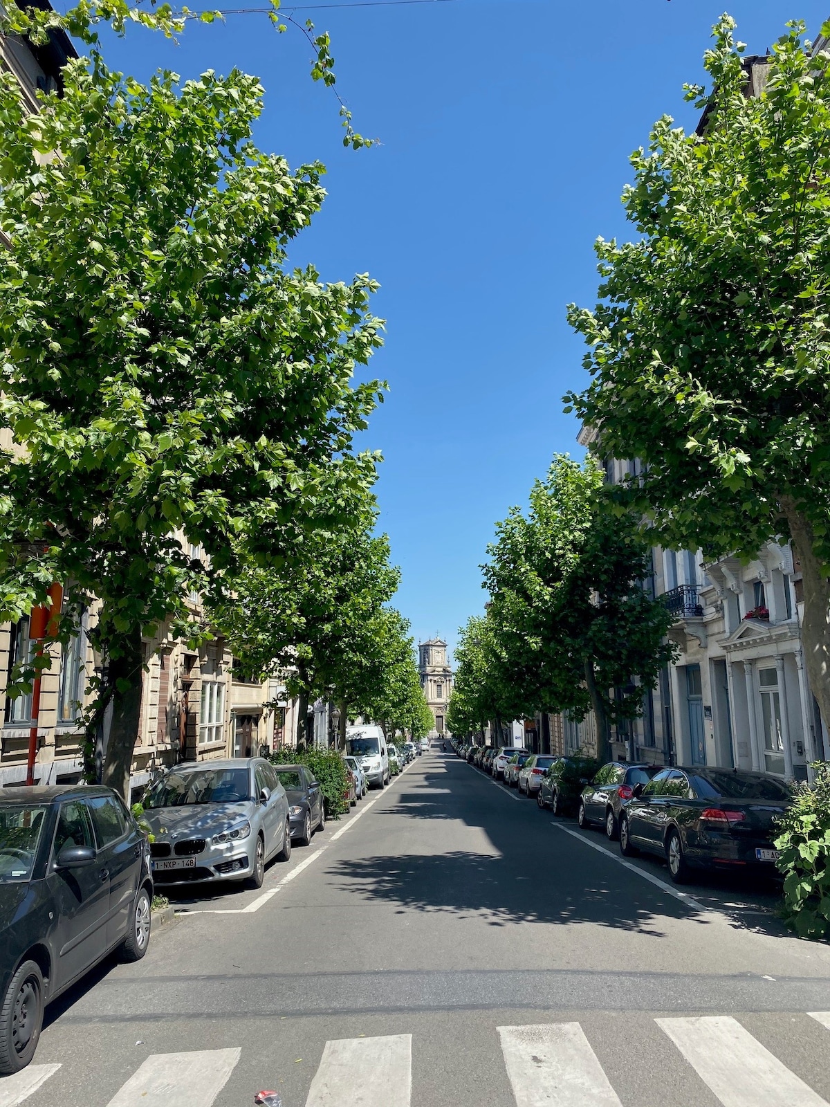 A tree-lined street stretches ahead under a clear blue sky. Vehicles are parked along both sides of the road, while the symmetrical arrangement of trees creates a pleasant avenue. In the distance, a building can be seen at the end of the road.