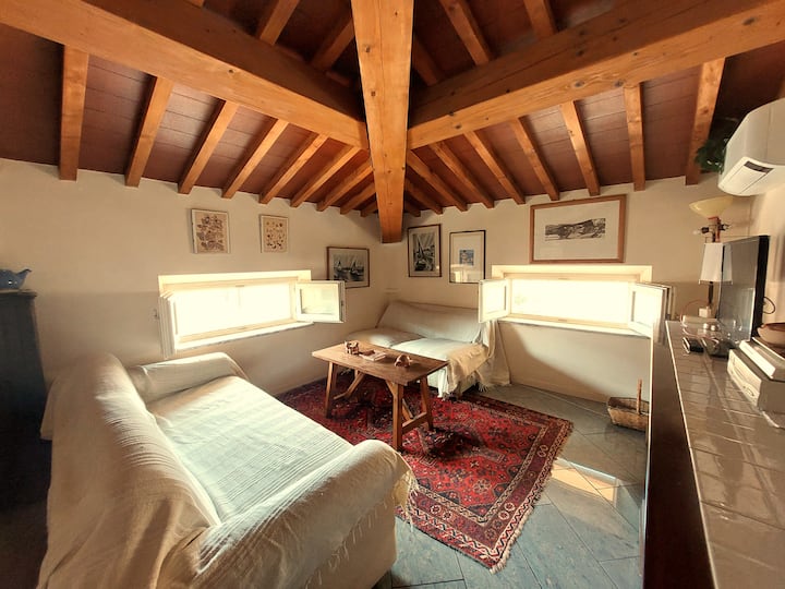 La Mansarda Di Carla - Viareggio