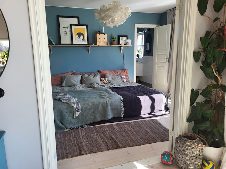 Habitación 2