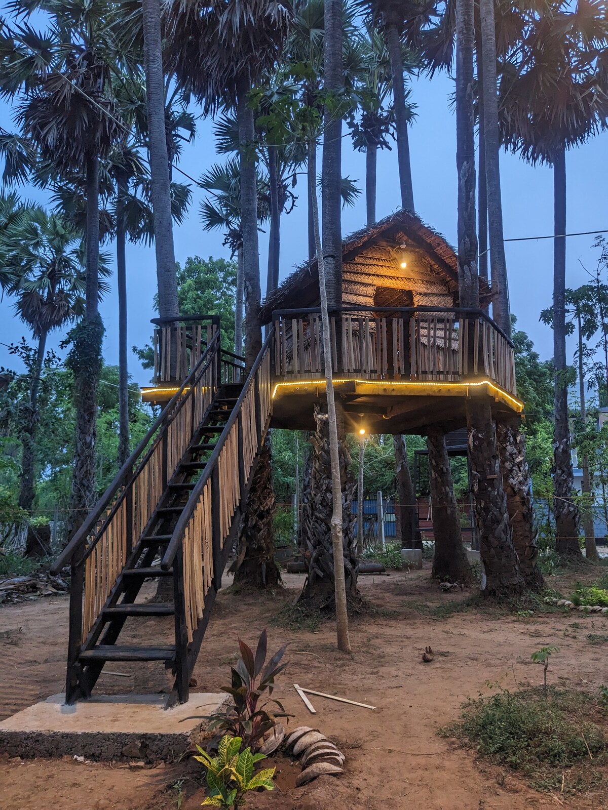 A charming treehouse is elevated among tall palm trees, featuring a wooden structure with a sloped roof and a wraparound balcony. A sturdy staircase leads up to the entryway, where light fixtures illuminate the outdoor space, creating a serene setting surrounded by nature.