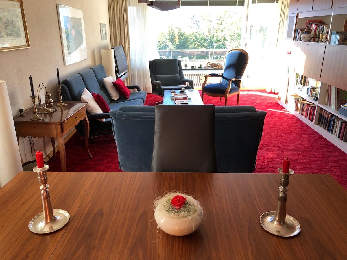 Successful Airbnb property: High above Interlaken, fantastic Alpine views in Beatenberg