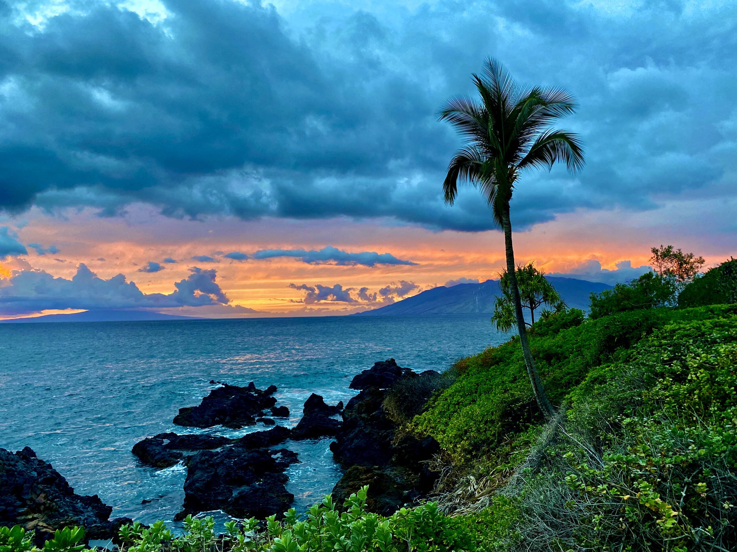 Condo in Kihei · ★4.83 · 1 bedroom · 1 bed · 2 private baths - Image 18