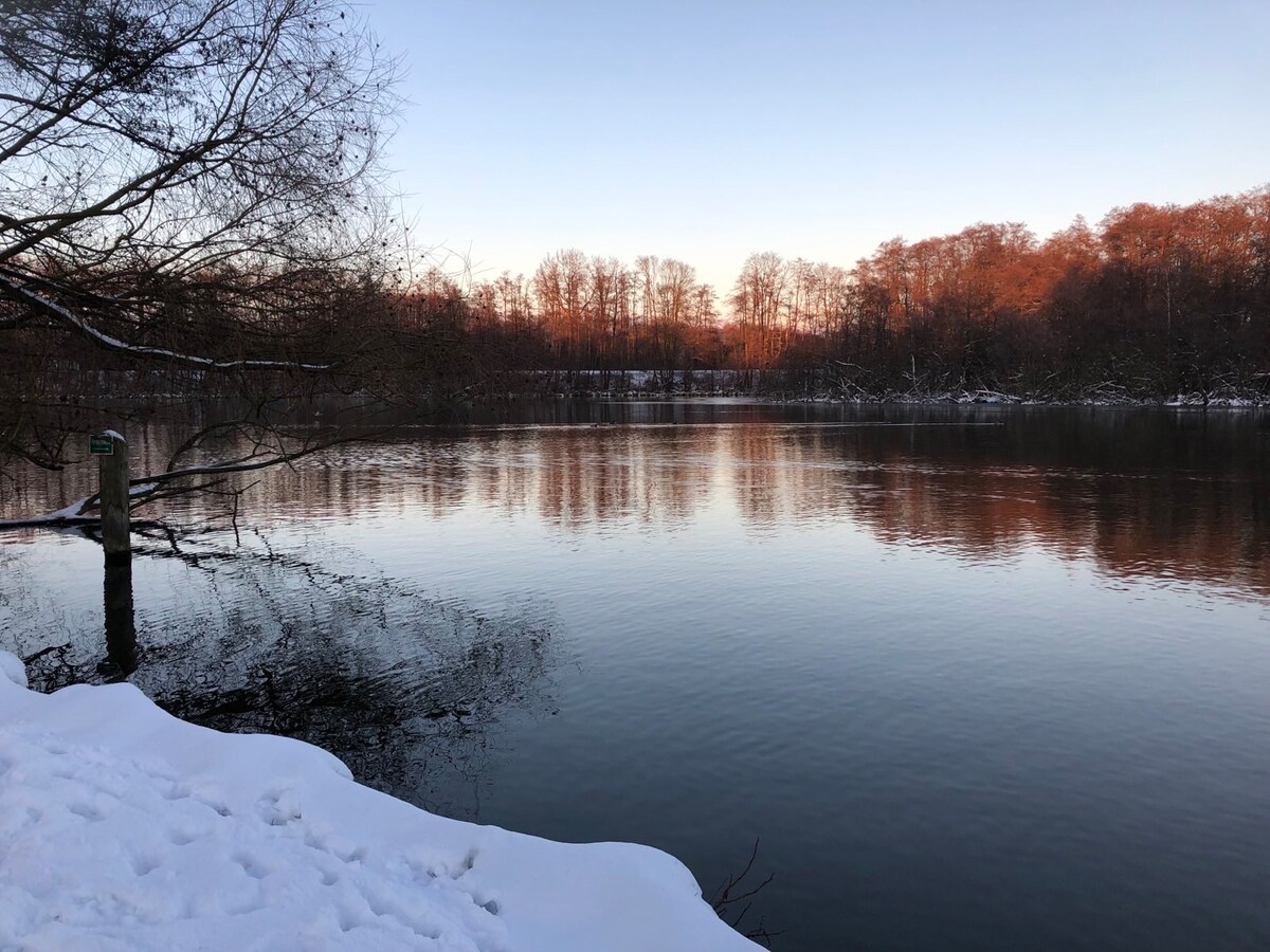 A serene winter scene depicts a calm body of water reflecting trees with bare branches and a soft pink hue in the sky. Snow blankets the ground along the water's edge, creating a tranquil atmosphere in the natural surroundings.