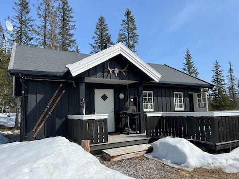 Cozy mountain cabin by Haglebu with hot tub