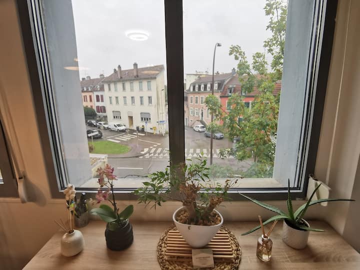 Duplex 65m² Vue Sur Le Château 3 éToiles * * * - ibis Montbéliard